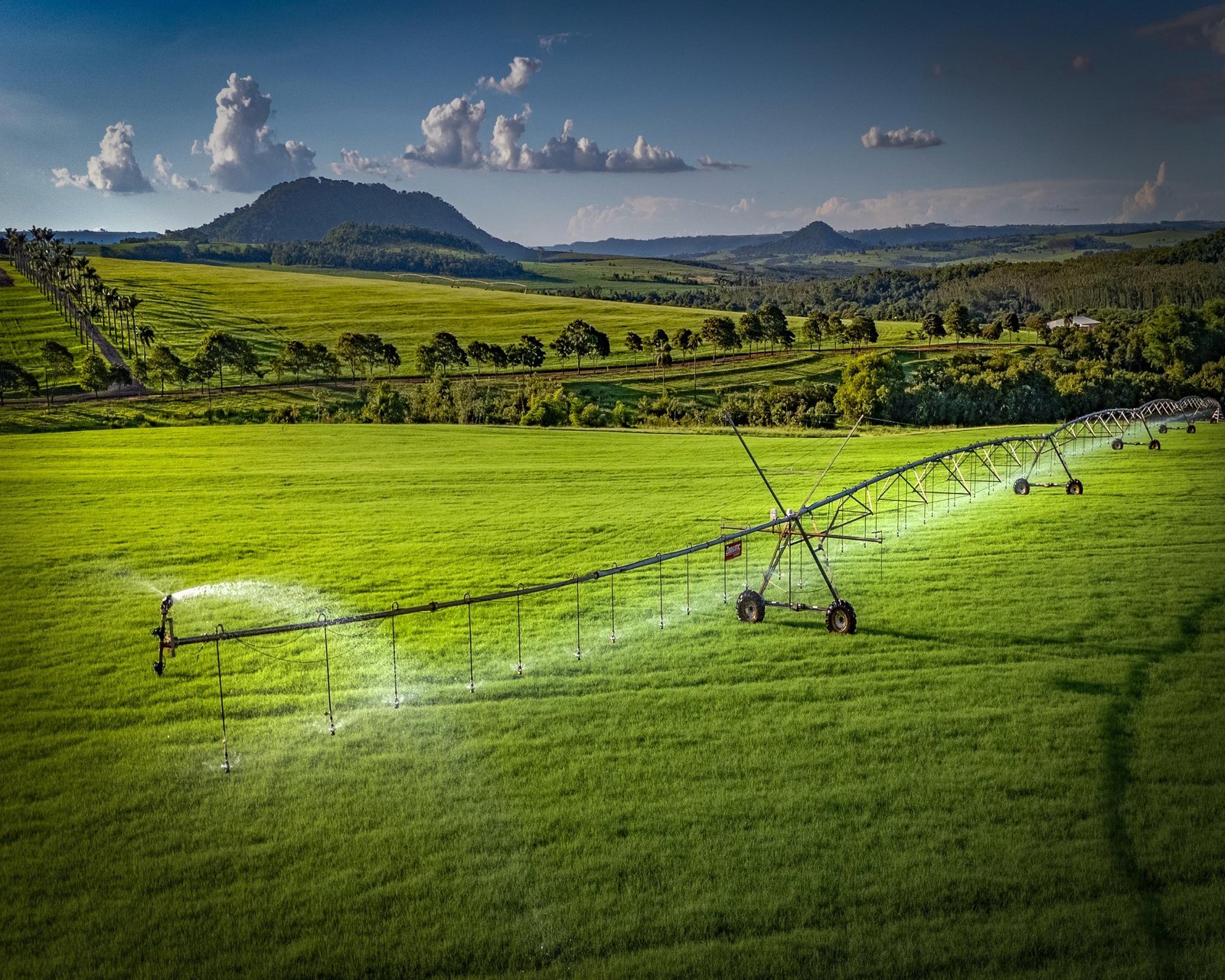 Irrigação em Funcionamento
